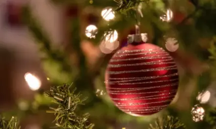 The Royal Academy celebrates a year of intense activity