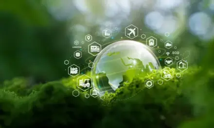 La sostenibilidad como ventaja competitiva