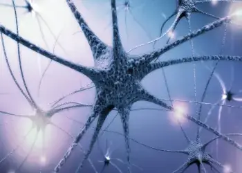 The Cell, in all its complexity