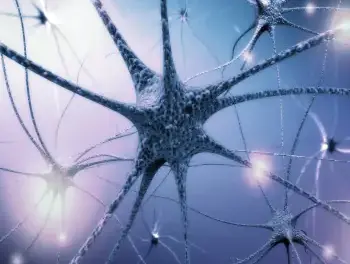 The Cell, in all its complexity