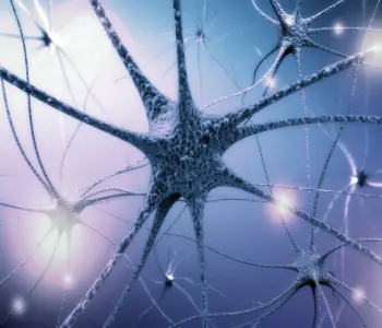 La célula como unidad integrada de señales mecanoquímicas