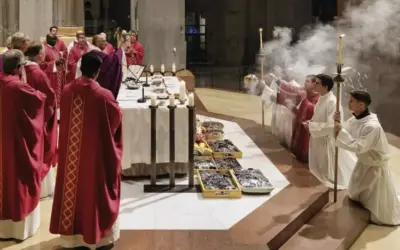 Images and testimonies of the Sagrada Familia