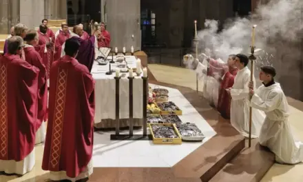 Imágenes y testimonios de la Sagrada Familia