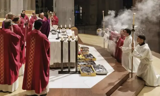 Imágenes y testimonios de la Sagrada Familia