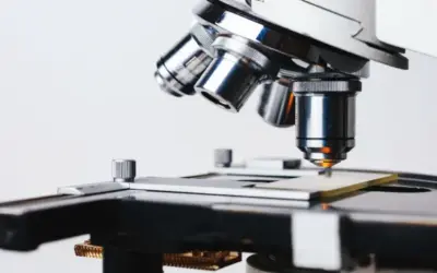 Neither reading nor research is being done