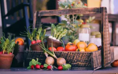 Nutritional health: an integral model