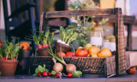Nutrición y salud, un modelo integral