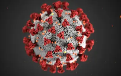 Staying alert to respiratory viruses