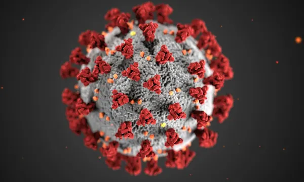 Mantener la alerta ante los virus respiratorios