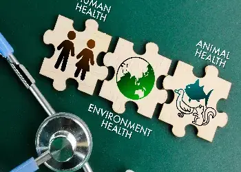 The One Health Paradigm as a major economic asset