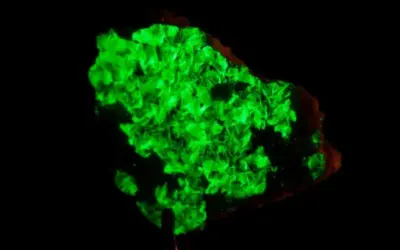 L’àstat, nou element d’importància tecnològica