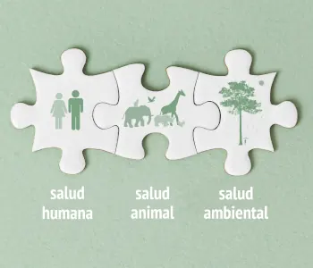 El paradigma de Una Sola Salud. Un solo bienestar. Un enfoque interdisciplinario