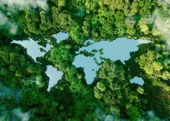 Sustainability Is Everyone’s Responsibility
