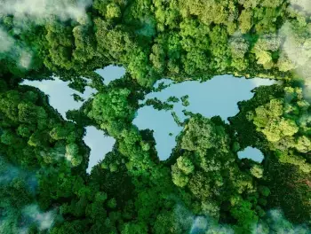 Sustainability Is Everyone’s Responsibility