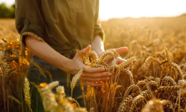 El reto de invertir en el sector agroalimentario