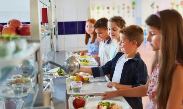 El futur dels menjadors escolars