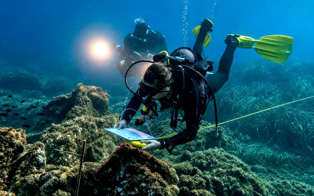 Silmar certifica la resiliencia y fragilidad del medio marino