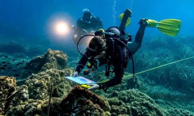 Silmar certifica la resiliencia y fragilidad del medio marino