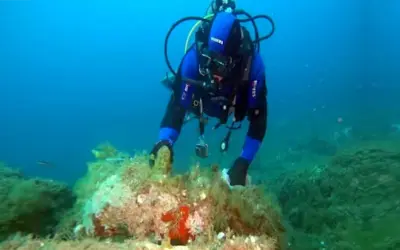 Enjoying the sea without harming it