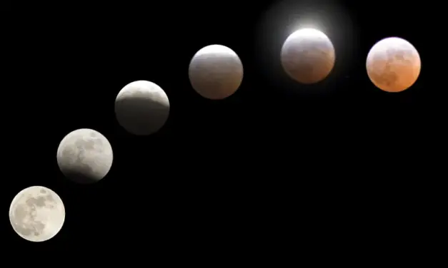 El eclipse, avistado con ojos de astrónomo