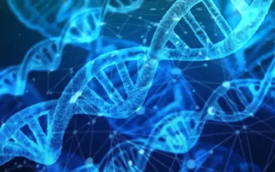 Recognition for the Pioneer of Gene Editing