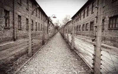 What the Doctors of the Blue Division Knew About the Holocaust